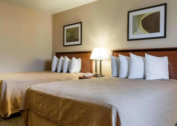 Rodeway Inn